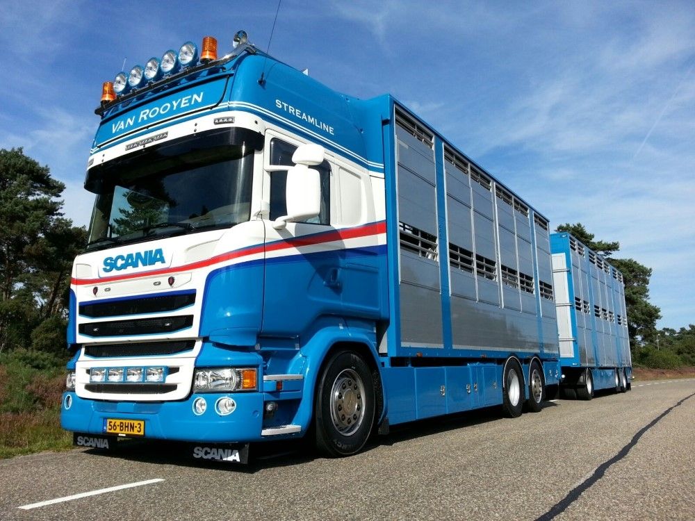 Rooyen