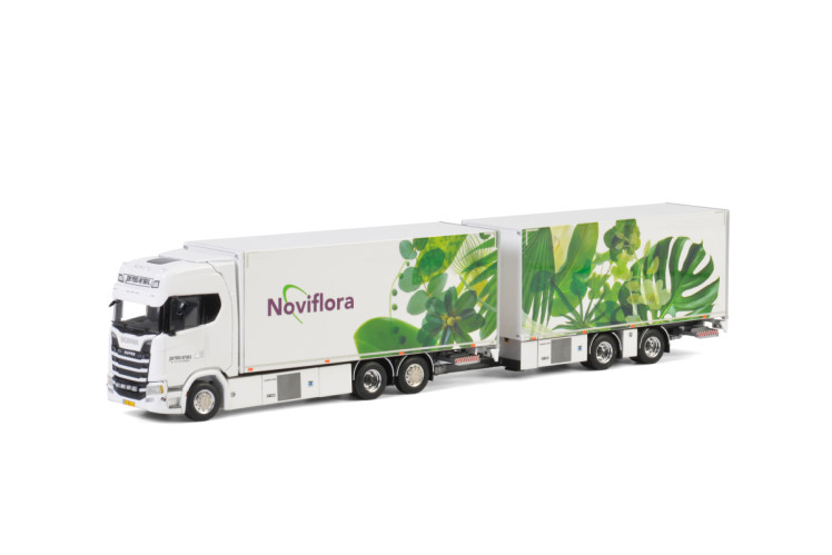 Noviflora