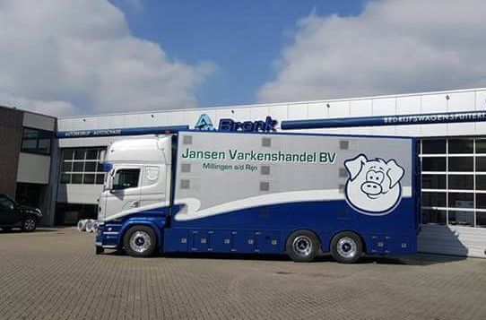 Jansen
