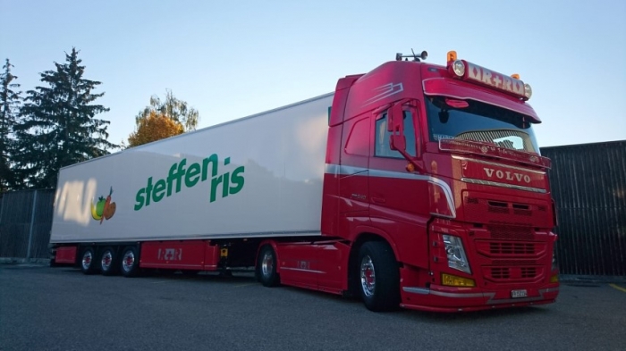 Steffen Ris