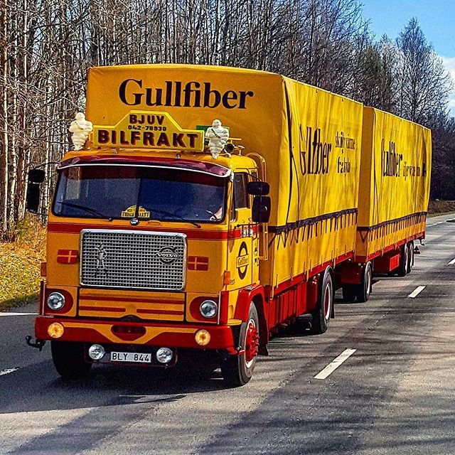 Gulfiber