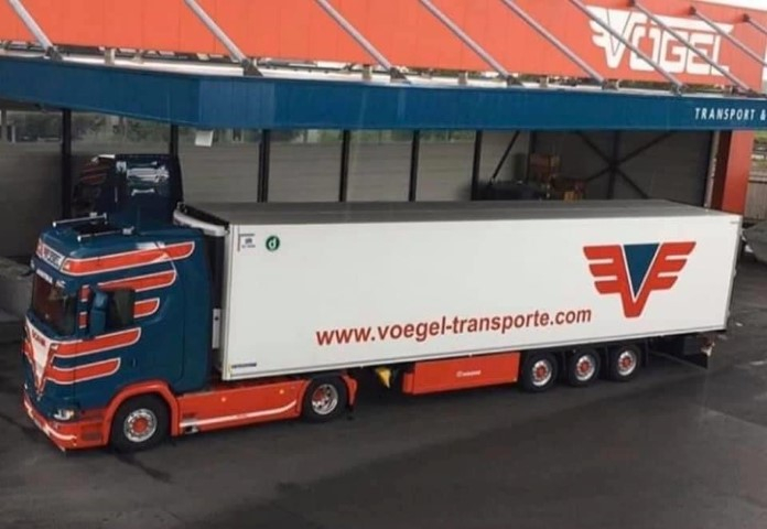 Vogel