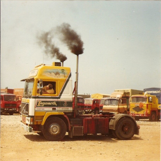 Vebe Trans