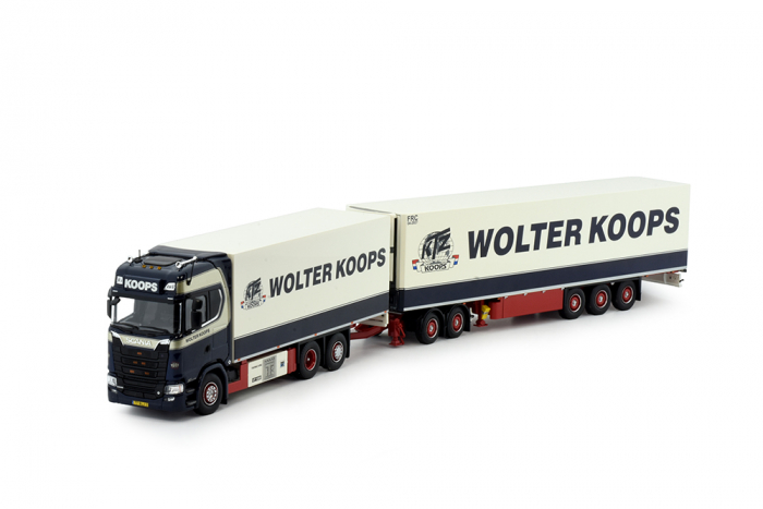 Wolter Koops