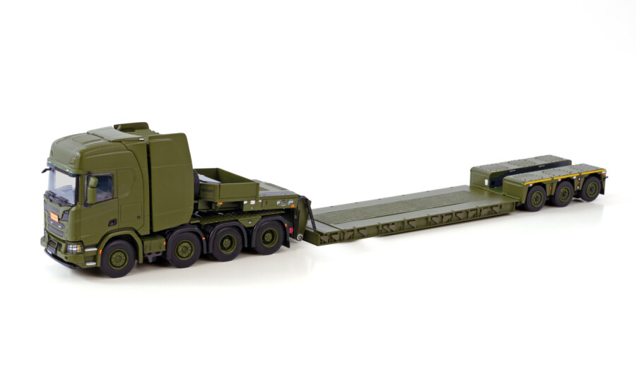 Forsvaret Danisch Army