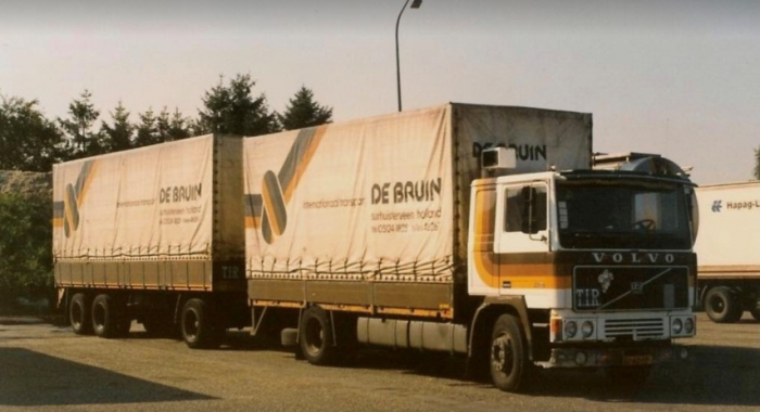 De Bruin