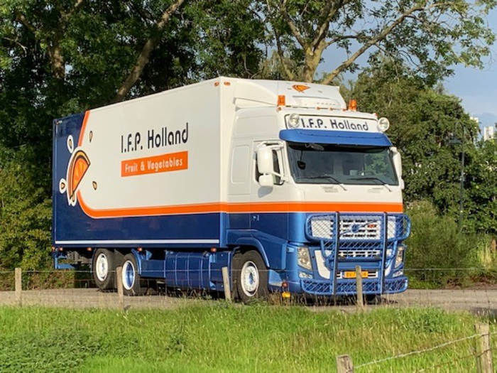 IFP
                Holland