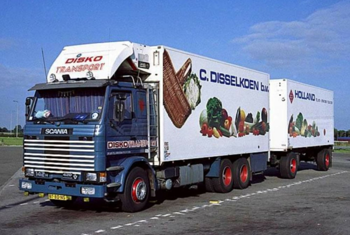 Disselkoen