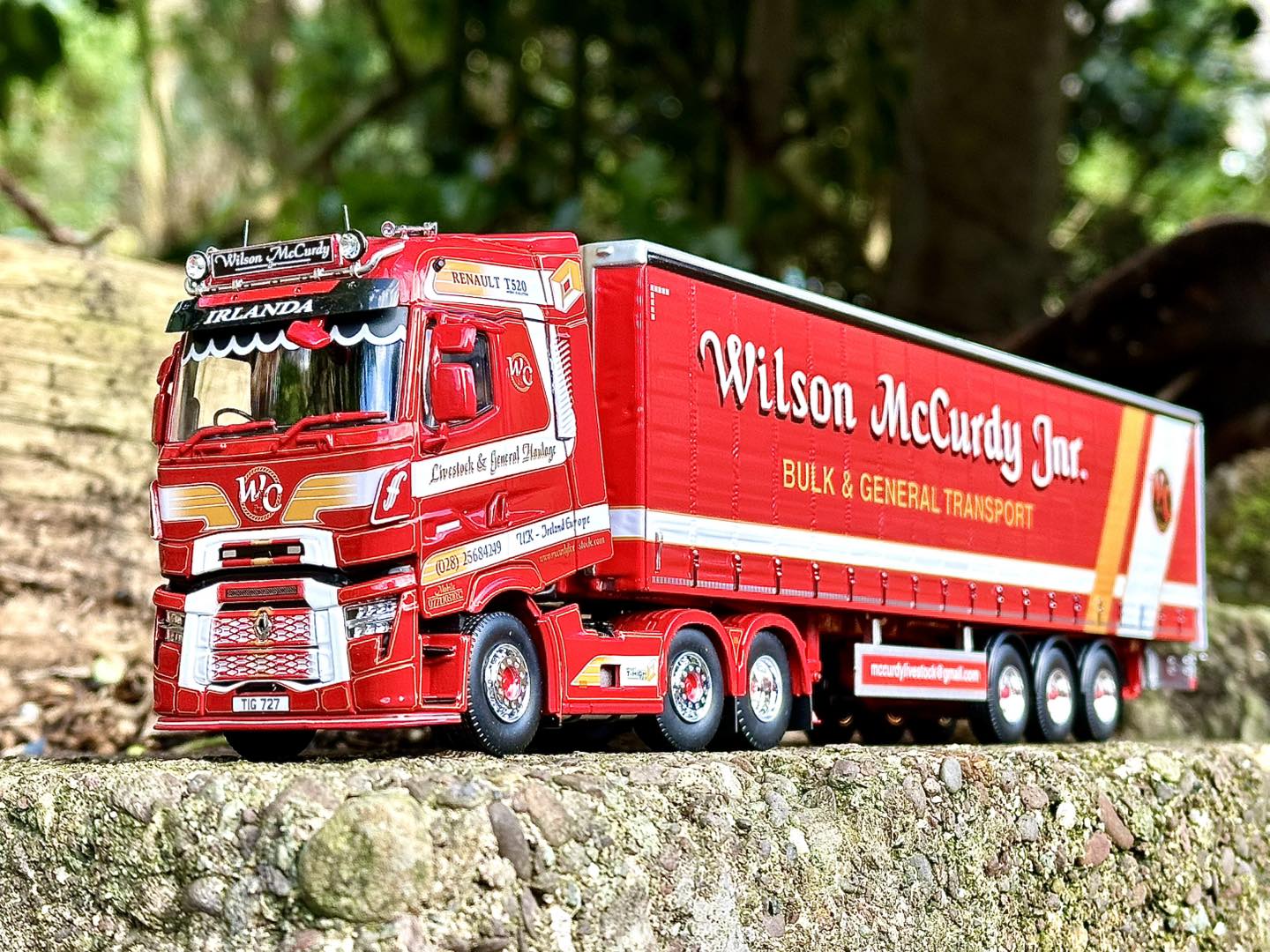 Wilson Mc Curdy