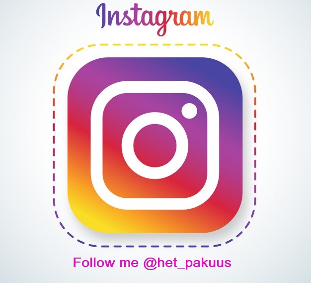 Instagram
                            @het_pakuus